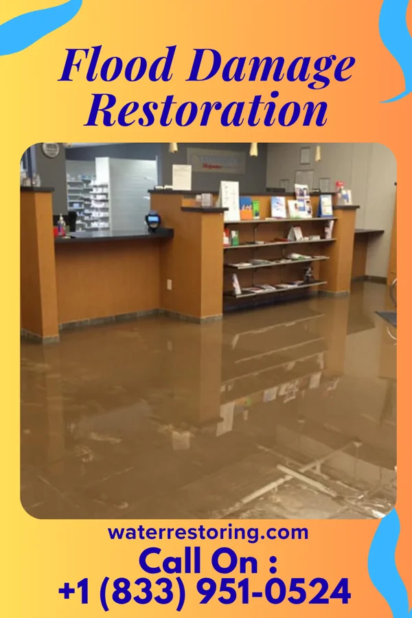 Flood Damage Restoration in Winnsboro, LA