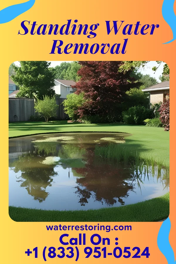 Standing Water Removal in Winnsboro, LA